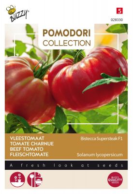 Buzzy Pomodori, Tomate Charnue Bistecca F1