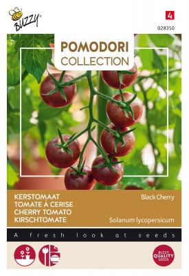 Buzzy Pomodori, Tomate à cerise Black Cherry