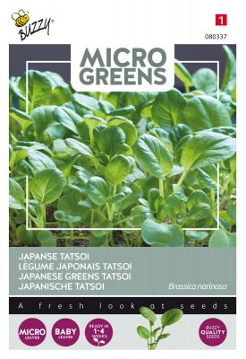 Buzzy Microgreens, Légume japonais Tatsoi