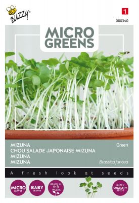 Buzzy Microgreens, Mizuna à feuille