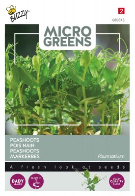 Buzzy Microgreens, Pois nain a germer