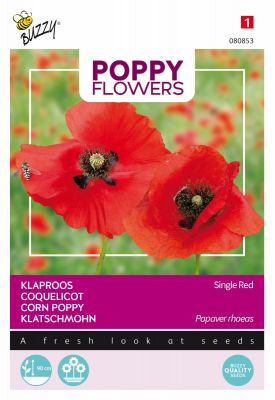 Buzzy Poppy Flowers, Coquelicot Simple rouge