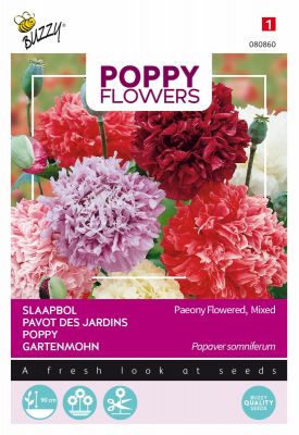 Buzzy Poppy Flowers Paeoniflorum Dbl Var.