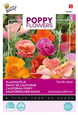 Buzzy Poppy Flowers, Pavot de Californie Thai Silk