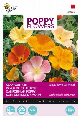 Buzzy Poppy Flowers Pavot de Californie