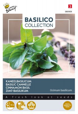 Buzzy Basilic Canelle