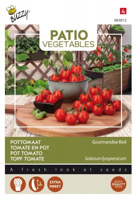 Buzzy Patio Veggies, Tomate en pot Gourmandise Red