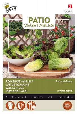 Buzzy Patio Veggies, Laitue romaine Rouge et Vert