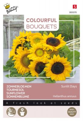 Buzzy Colourful Bouquets, Sunlit Days, Tournesol