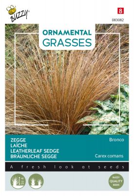 Buzzy Ornamental Grasses, Laîche 'Bronco'