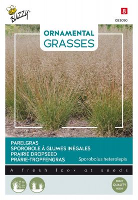 Buzzy Ornamental Grasses, Sporobole à Glumes Inégales