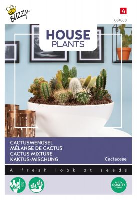 Buzzy House plants Cactee, Mélange de différentes espèces