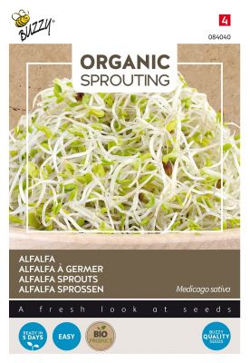 Buzzy Organic Sprouting de Alfalfa Luzerne (BIO)