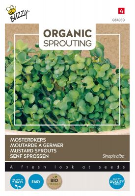 Buzzy Organic Sprouting de Moutarde (BIO)