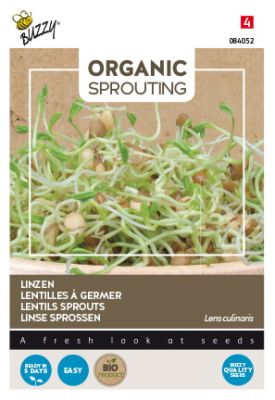 Buzzy Organic Sprouting Lentilles (BIO)