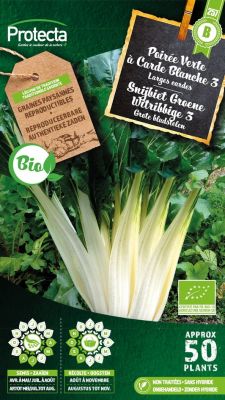 Poirée Verte à Carde Blanche 3 BIO – Protecta Graines paysanne