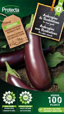 Aubergine de Barbentane - Protecta Graines paysanne