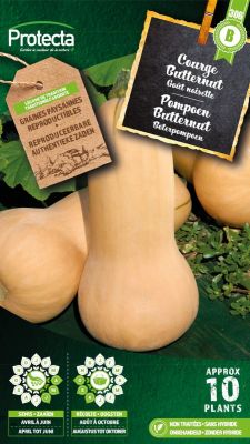 Courgette Butternut – Protecta Graines paysanne