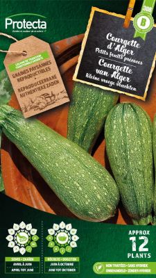 Courgette d'Alger – Protecta Graines paysanne