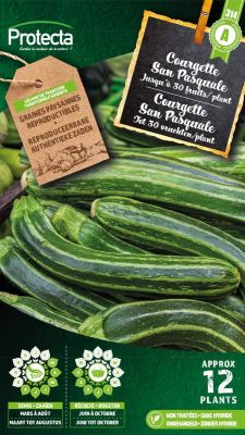 Courgette San Pasquale – Protecta Graines paysanne