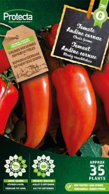 Tomate Andine cornue – Protecta Graines paysanne