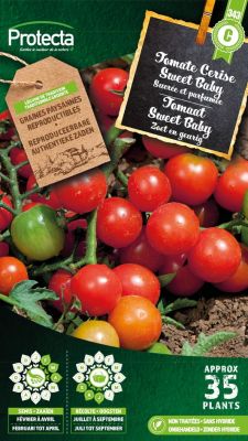 Tomate Cerise Sweet Baby – Protecta Graines paysanne