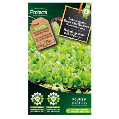 Laitue à couper Blonde à feuilles lisses – Protecta Graines paysanne