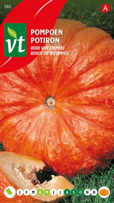 Potiron Rouge Vif D'Etampes