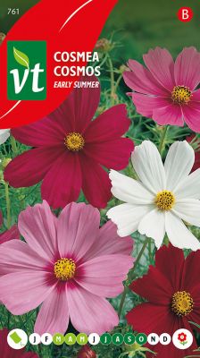 Cosmos Early Summer Varie