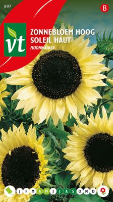 Tournesol Moonwalker