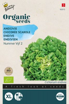 Buzzy Organic  Chicorée scarole Grosse bouclée 2 (BIO)