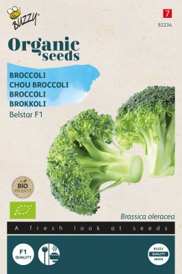 Buzzy Organic Chou Brocoli Belstar F1 (BIO)