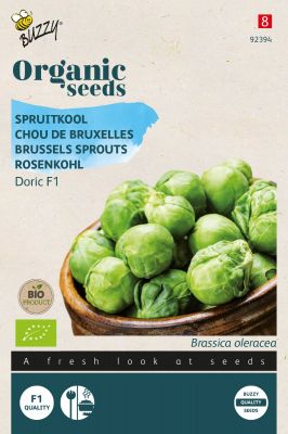 Buzzy Organic Chou de Bruxelles Doric F1 (BIO)