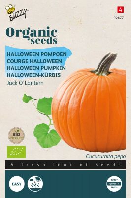 Buzzy Organic Potiron Jack O' Lantern  (BIO)