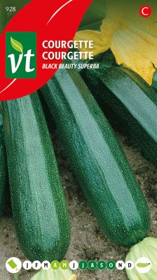 Courgette Black Beauty