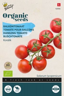 Buzzy Organic Tomate pour balcons Koralik(BIO)