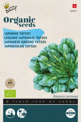 Buzzy Organic Légume japonais Tatsoi (BIO)