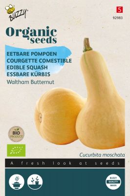 Buzzy Organic Courgette comestible Waltham Butternut (BIO)