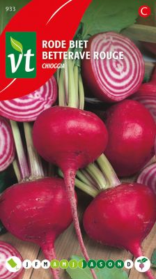 Betterave Rouge Chioggia