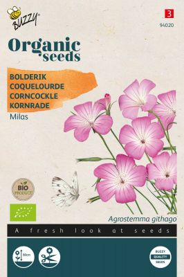 Buzzy® Organic Agrostemma, Coquelourde Milas (BIO)