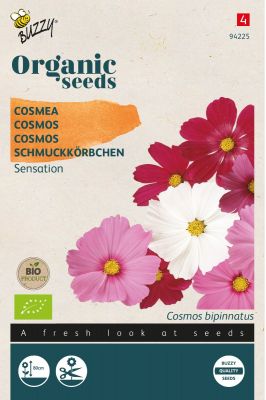 Buzzy Organic Cosmos Sensation varié (BIO)