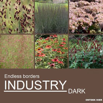 EB Industry Dark