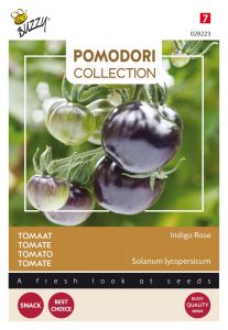 Buzzy Pomodori Tomate Indigo rose (noir)