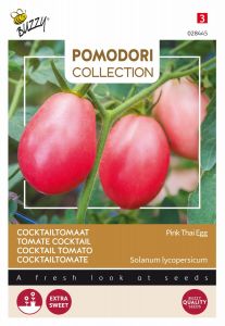 Buzzy Pomodori, Tomate Pink Thai Egg