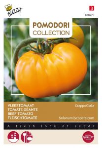 Buzzy Pomodori, Tomate Géante Grappa Gialla