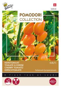 Buzzy Pomodori, Tomate a Cerise Dolly F1