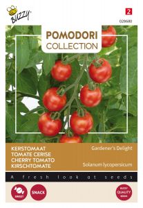 Buzzy Pomodori, Tomate Gardeners Delight (Cherry)