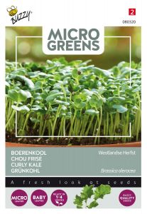 Buzzy Microgreens, Chou frisé Demi-nain de Westland