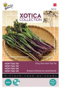 Buzzy Xotica Broccoli sauvage rouge ou Hon Tsai Tai