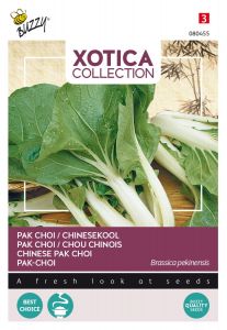 Buzzy Xotica Chou chinois Pak Choi